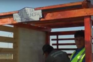 De la 1 august, autobuzele TCE Ploieşti opresc, din nou, la Parcul Municipal Vest