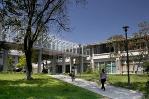 Asistenţă medicală generală, nou program de licenţă în oferta educaţională a ...