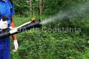 Actiuni de dezinsectie in municipiul Constanta! Vezi in ce zone se va actiona astazi