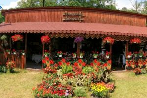 Multiculturalitatea, farmecul casei Brâncoveneşti la Festivalul Văii Mureşului