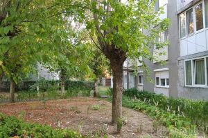 Prefectura a atacat în instanţă Regulamentul de spaţii verzi din Oradea: Obligaţia întreţinerii spaţiilor poate fi impusă doar prin referendum!