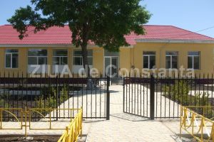Primaria Topraisar cumpara pubele. Cu cine a incheiat contractul (document)