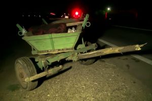 Căruţaş rănit într-un accident produs din propria vină