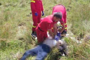 Vacile au scăpat, văcarul a murit!