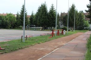 Piedici în pregătirea atleţilor veterani mureşeni