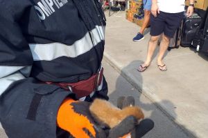Salvatori pe viaţă: Pompierii militari au adoptat doi pui de pisică pe care i-au scăpat de primejdii (FOTO)