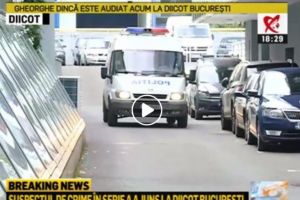 În ţară cătuşelor şi politicienilor 