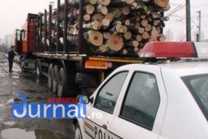 Prins cu camionul plin de cherestea fără acte