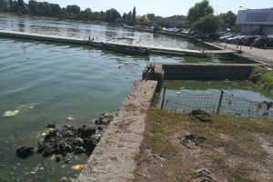 Constanteanul suparat:  Petitie online pentru ecologizarea lacului Tabacarie din Constanta. Directorul ABADL - Curatam, dar nu putem zilnic, recunosc!“ (galerie foto+document)