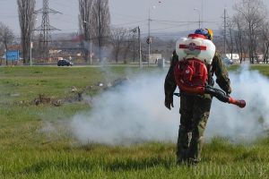 Noi etape de dezinsecţie şi de tratamente fitosanitare în Oradea