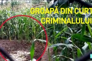 Imagini în premieră naţională! A fost surprinsă una din gropile săpate de criminalul din Caracal