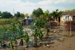 Inundatii in Istria! Pompierii au intervenit pentru scoaterea apei din gospodarii (video)