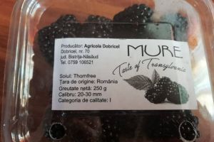 Vreţi să mâncaţi mure pe săturate? La Dobricel aveţi această ocazie într-o singură zi din săptămână