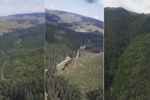 VIDEO. Imagini spectaculoase din elicopterul SMURD care a survolat pădurea în timpul misiunii de căutare a persoanei dispărute în zona Dobra-Jina