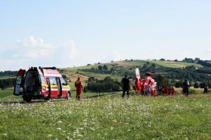 Un copil de 5 ani din Şinteu, dus cu elicopterul SMURD la Oradea, după ce a fost muşcat de un şarpe