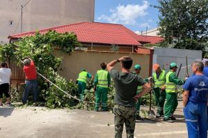 Primaria Constanta: Echipele actioneaza in permanenta pentru a remedia toate problemele cauzate de vantul puternic (galerie foto)