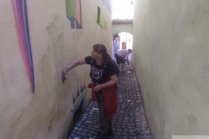 Strada Sforii, din nou vandalizată. Se caută voluntari pentru curăţarea pereţilor
