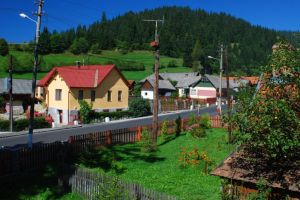 Poliţiştii topliţeni au prins un ieşean de 19 ani acuzat de viol, pe raza localităţii Borsec