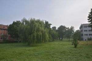 FOTO Primăria amenajează un parc în cartierul Triaj
