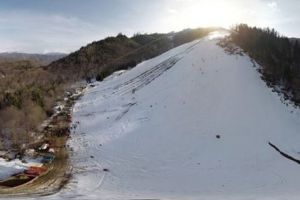 Moliviş, poveste fără FINISH!