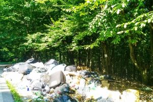 Cititor Tion.ro: În zona Lacului Surduc este o mizerie de nedescris!
