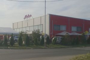 ACCIDENT la Helen! Au „vrut” să intre cu maşina în sala de căsătorii