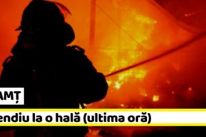 NEAMȚ: Incendiu la o hală (ultima oră)