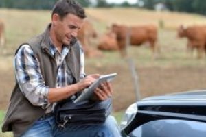 Înscrieri în Programul pentru stimularea angajării tinerilor în agricultură, acvacultură şi industria alimentară