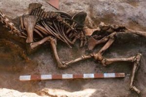 FOTO. Descoperire inedită pe şantier arheologic din Alba Iulia: Scheletul unui cal înmormântat în urmă cu peste 2.000 de ani, care indică prezenţa unor mercenari barbari