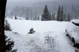 Consilierul judeţean Daniel Zdrânc susţine că se va face un prim pas pentru asfaltarea drumului care duce la Domeniul Schiabil Șureanu