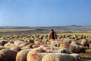 Minor din judeţul Alba, rătăcit prin munţii Hunedoarei. Protecţia copilului, împreună cu reprezentanţii Primăriei Almaşu Mare, au luat măsuri în această cauză