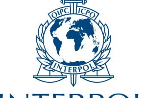 Interpol supraveghează cazul de la Caracal!
