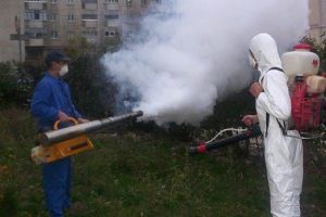 O nouă campanie de dezinsecţie, la Braşov