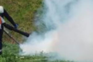 Deratizare şi dezinsecţie la Moldova Nouă