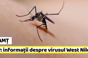 NEAMȚ: DSP: informaţii despre infecţia cu virusul West Nile
