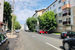 De ce trebuie refăcute în fiecare an marcajele de pe străzi. Niculae: Trebuie să cumpărăm o maşină