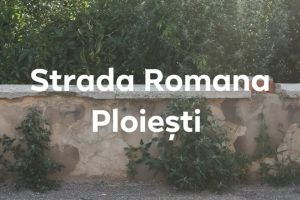 Dupa ce s-a laudat pe Facebook ca a stârpit ambrozia, Dobre a sters postarea. Un ploiestean a demonstrat ca a mintit!
