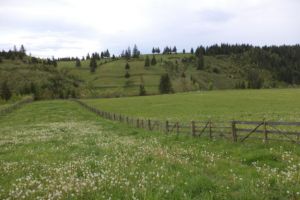 Noaptea trecută un tânăr s-a rătăcit în zonă montană, Dealul Alb din Topliţa