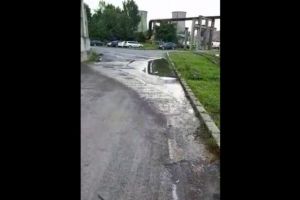 VIDEO | Imagini şocante! Fecale şi viermi în drum, de la o firmă din Prahova!