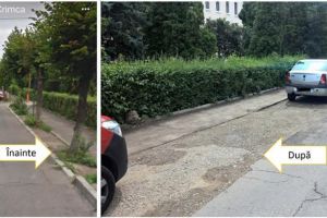 Cuşnir acuză conducerea Primăriei Suceava că a distrus spaţiile verzi dintre blocuri ...