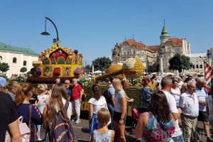 Piaţa Unirii, închisă circulaţiei auto pe 21 august, de Carnavalul Florilor