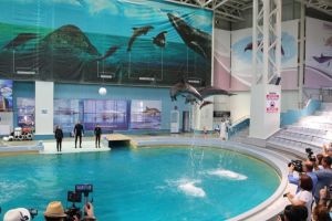 Ministerul Turismului acorda 5,5 milioane de euro pentru modernizarea Delfinariului din Constanta