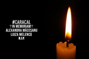 VIDEO Emoţionant! Un tânăr din Botoşani a lansat o piesă hip-hop în memoria Alexandrei, tânăra de 15 ani ucisă la Caracal