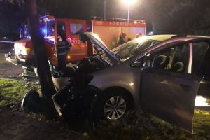 Accident pe strada C.R. Vivu din Bistriţa. O maşină a intrat direct într-un copac
