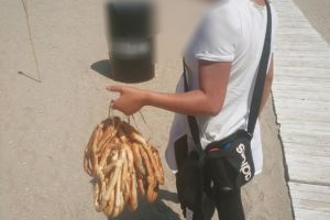 Constanta: Litoralul, verificat de politistii locali. Ce amenzi au aplicat agentii