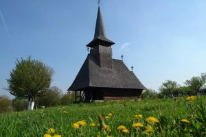 Reputaţi cercetători şi istorici participă la o conferinţă internaţională despre satul românesc, la Negreşti-Oaş