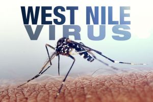Un nou caz de meningită, provocată de virusul West Nile