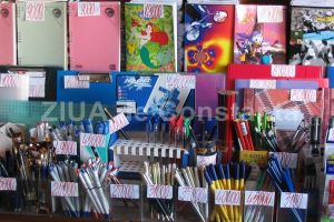 Inspectoratul Scolar Judetean Constanta cumpara rechizite. Cati bani aloca pentru fiecare elev