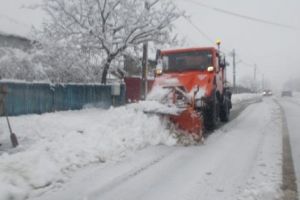 Dan Stroe are un nou aliat în lupta cu zăpada!