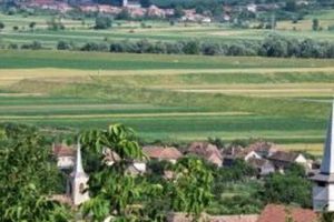 Primăria Bălăuşeri angajează poliţist local